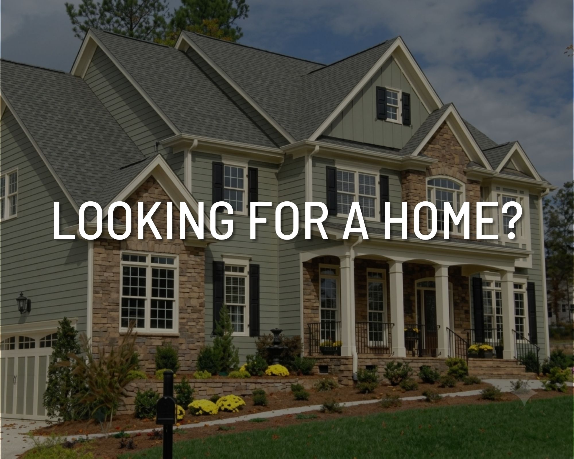 Looking For A Home?